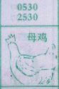 母鸡