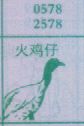 火鸡仔
