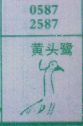 黄头鹭