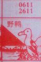 野鸭