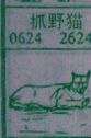 抓野猫