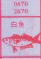 白鱼