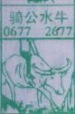 骑公水牛