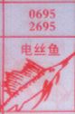 电丝鱼
