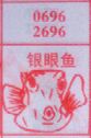 银眼鱼
