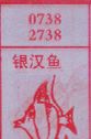 银汉鱼