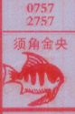 须角金央