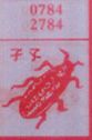 孑孓