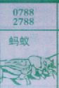 蚂蚁