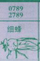细蜂