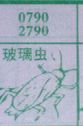 玻璃虫