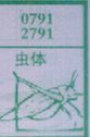 虫体