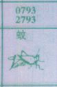 蚊