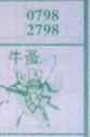 牛蚤