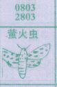 萤火虫