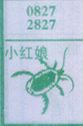 小红娘