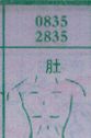肚