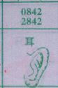 耳