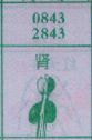 肾