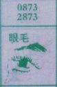 眼毛