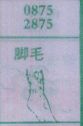 脚毛
