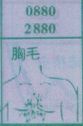 胸毛