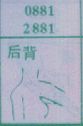 后背