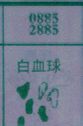 白血球