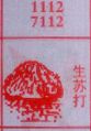 生苏打
