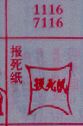 报死纸