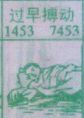 过早搏动