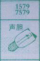 声胆