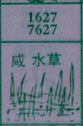 咸水草