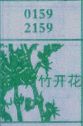 竹开花