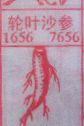 轮叶沙参