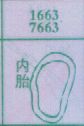 内胎