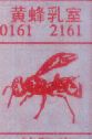 黄蜂入室