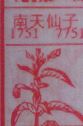 南天仙子