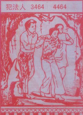 犯法人