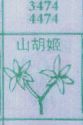 山胡姬