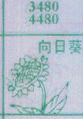 向日葵