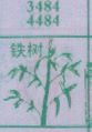 铁树