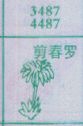 剪春罗