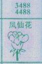 凤仙花