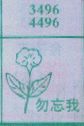 勿忘我