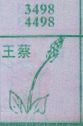 王蔡