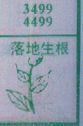 落地生根