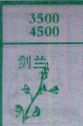 剑兰
