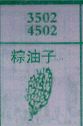 粽油子