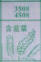 含羞草